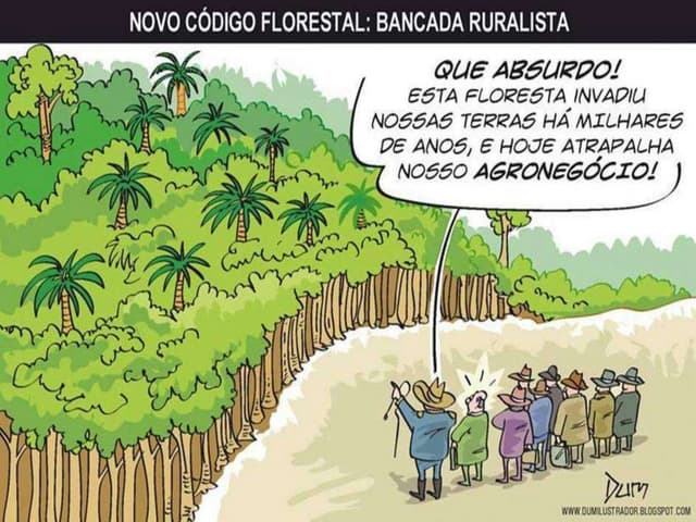 Aula código florestal