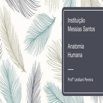 Aula01:INTRODUÇÃO AO ESTUDO DE ANATOMIA | PPT