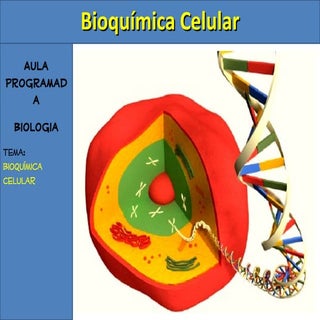 Aula de bioquímica celular