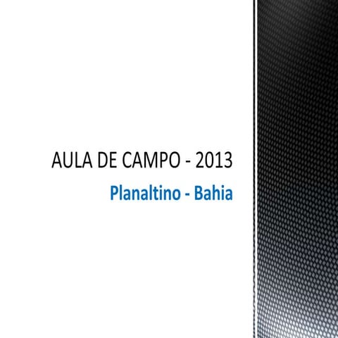 Aula de Campo/2013 - Planaltino-Bahia