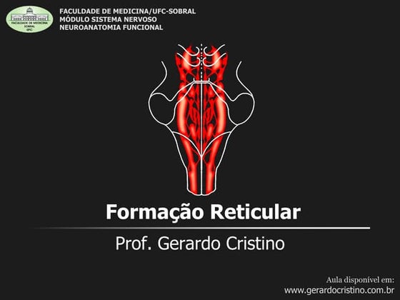Medresumos 2016 neuroanatomia 09 - estrutura e funções do cerebelo | PDF