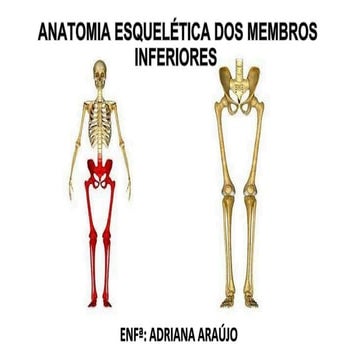 Medresumos 2016 anatomia topográfica - membro inferior | PDF