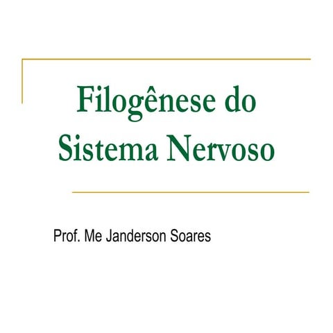 Neuroanatomia Inicial 