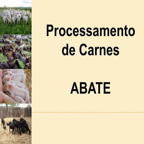 Aula processamento de carnes abate