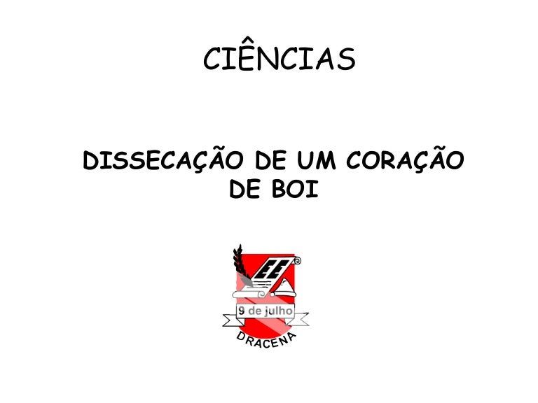 Aula Pratica Coracao Prof Miriam