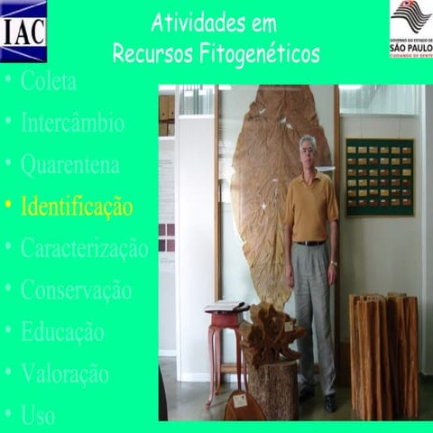 Aula rec.gen.melhoramento de plantas2 | PPT