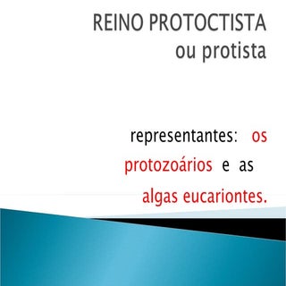 Aula reino protoctista