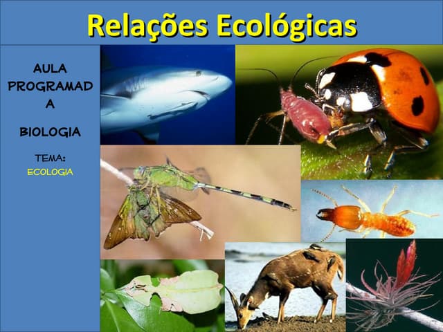 Aula relações ecológicas
