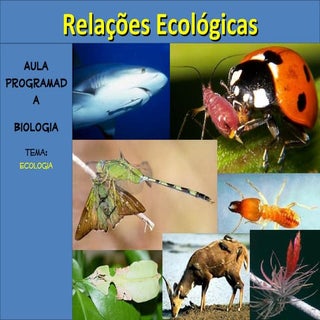 Aula relações ecológicas