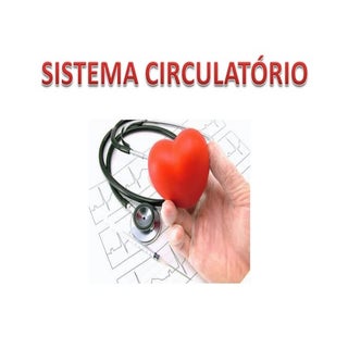Aula sistema circulatório ou cardio...