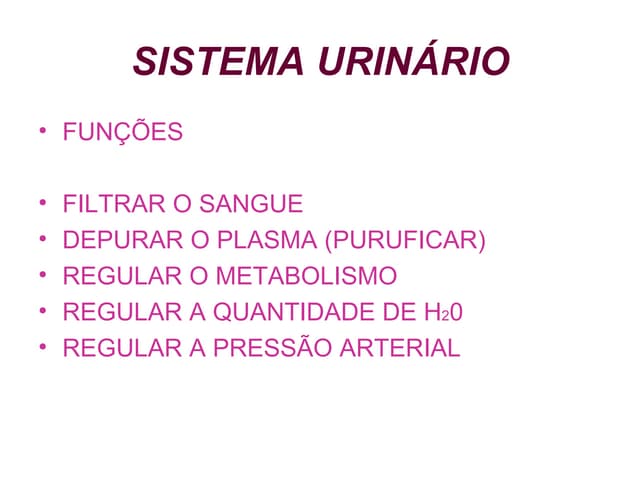 Aula sistema urinário
