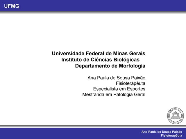 Aula viii. musculos do dorso