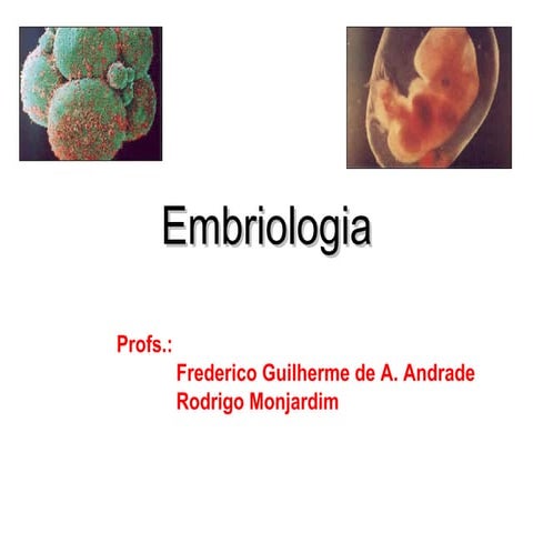 Embriologia