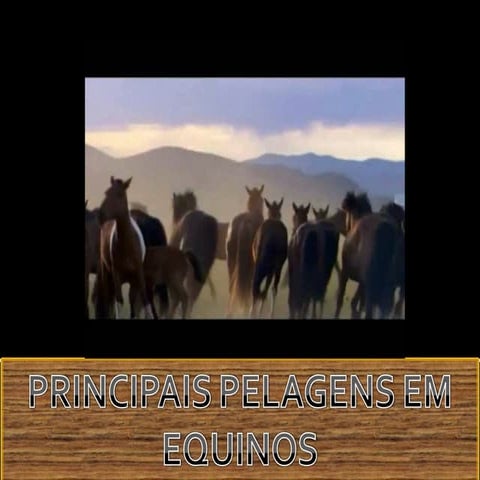 Pelagem de Equinos