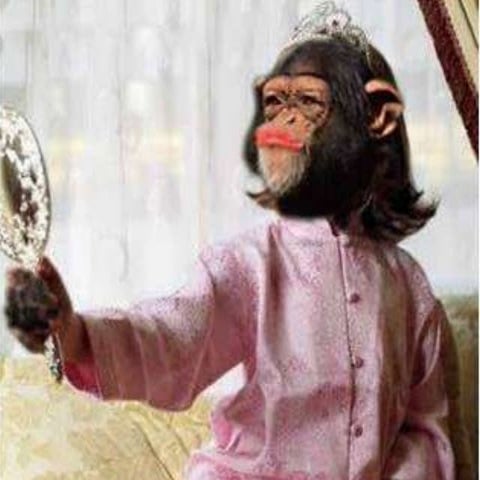 Aunque La Mona Se Vista De Seda