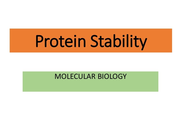 protein stability
