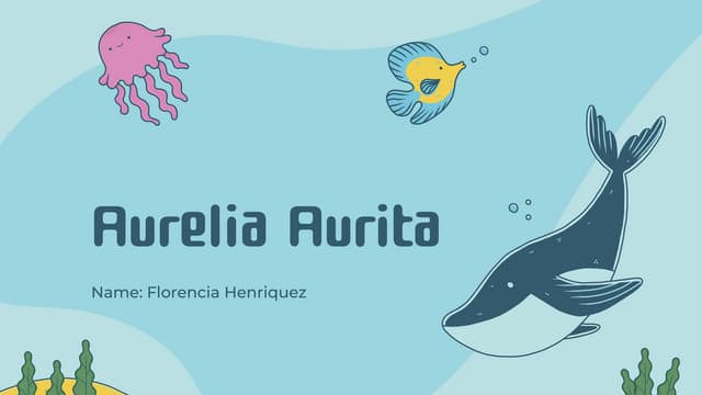 Aurelia auritaaaaaaaaaaaaaaaaaaaaaaaaaaa