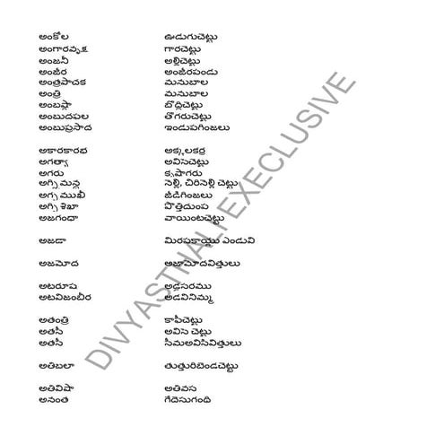 Runa vimochana pasupatham | PDF