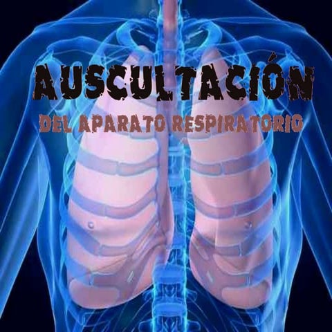 Auscultacion