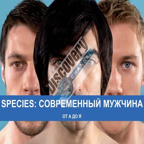 Discovery: A users guide to young men research