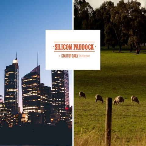 From the Paddock to the Silicon Hills