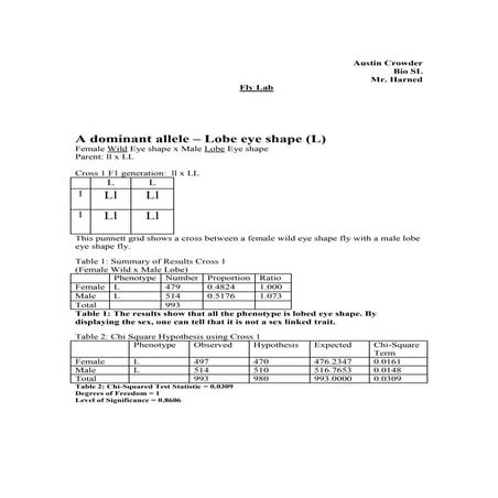 Fly Lab | DOCX