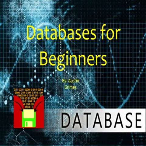 Austingrimes databasesforbeginners