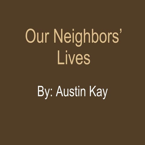 Austin's Tea Shop Photo Essay