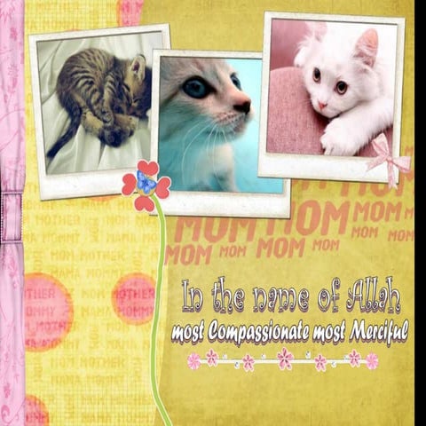 Accreditaion program of Australia