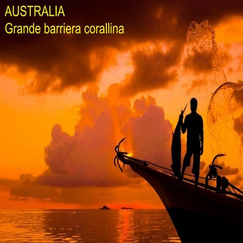 Australia   grande barriera corallina