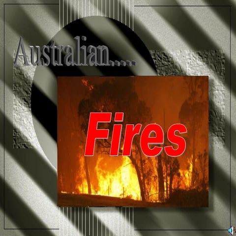 Australian Fires