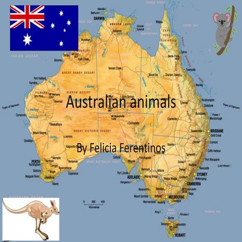 Australian wildlife powerpoint