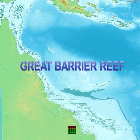 Australia Vissen Koraal