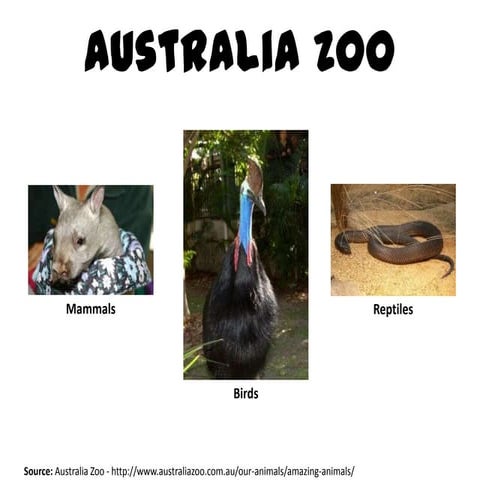 Australia zoo