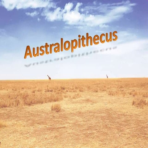 Australopithecus