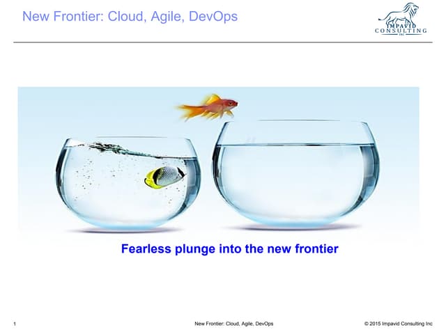 Agile EcoSystem
