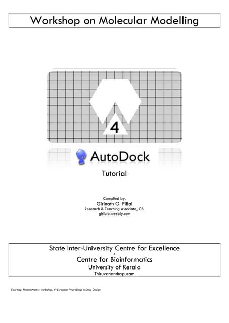 Autodock Made Easy with MGL Tools - Molecular Docking