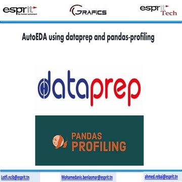 Auto eda | PPT
