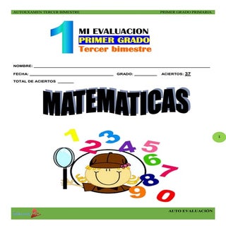 Autoexamen de primaria 