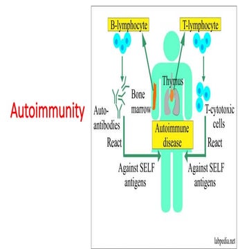 Auto immunity and immunodeficiencies | PPTX