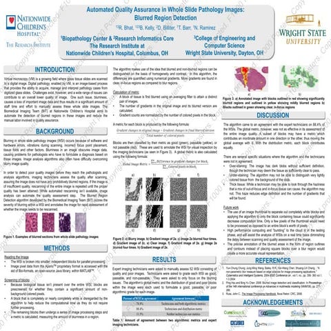Automated quality assurance in whole slide pathology images blurred region de...