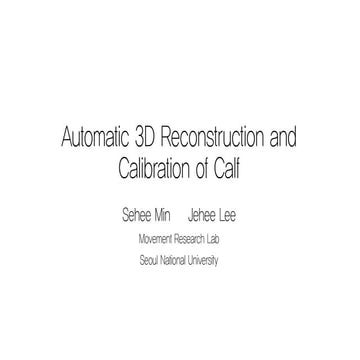 Automatic 3d reconstruction and calibration of calf