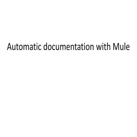 Automatic documantation with mule 