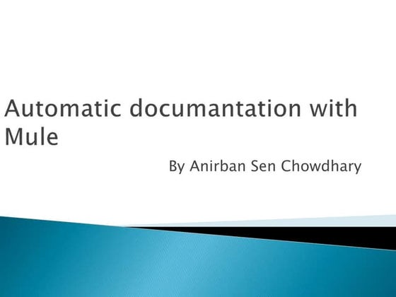 Automatic documentation with mule 