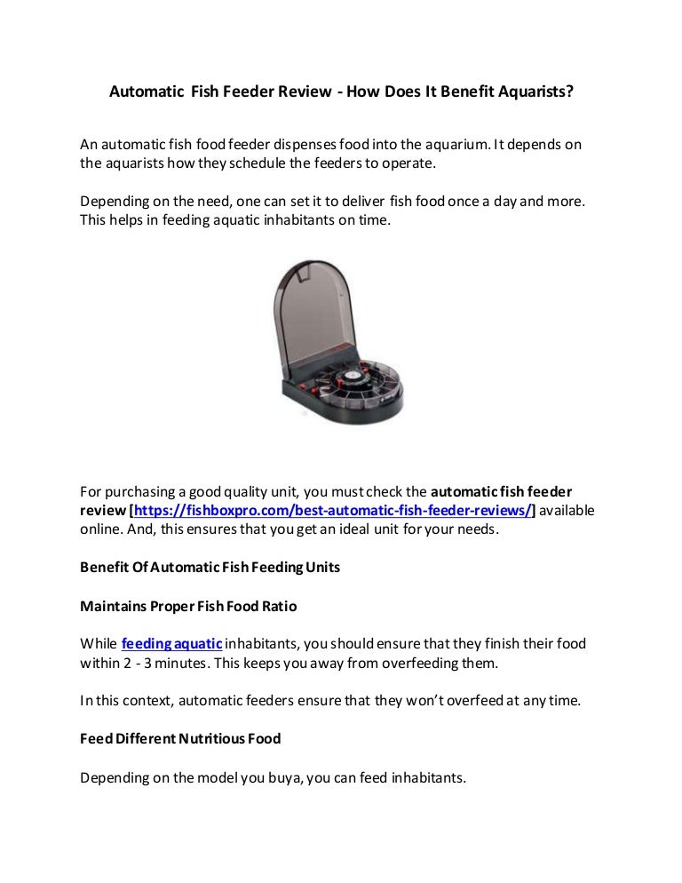 Automatic Fish Feeder Review How Does It Benefit Aquarists