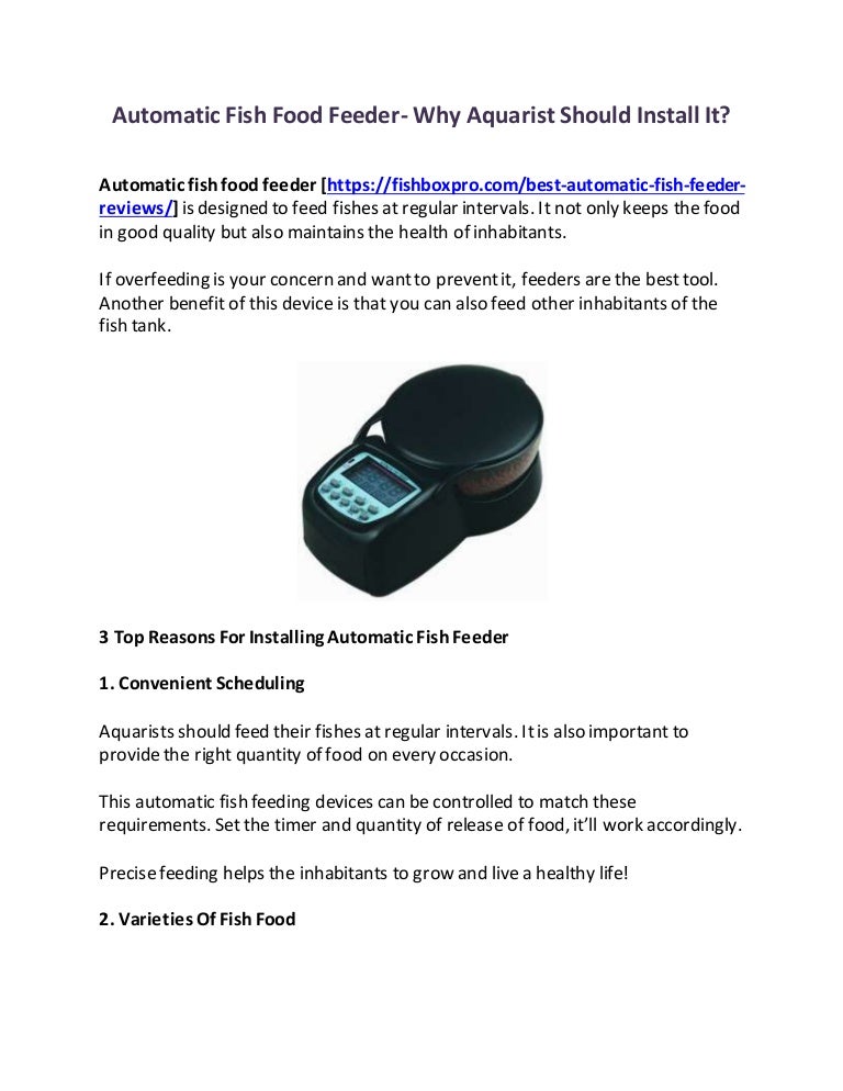 Automatic Fish Food Feeder Why Aquarist Should Install It