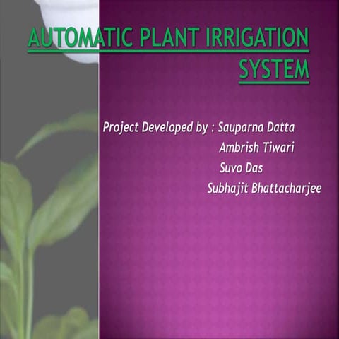 Automatic irrigation system