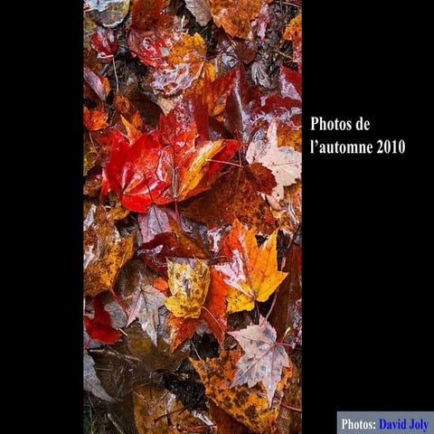 Automne 2010