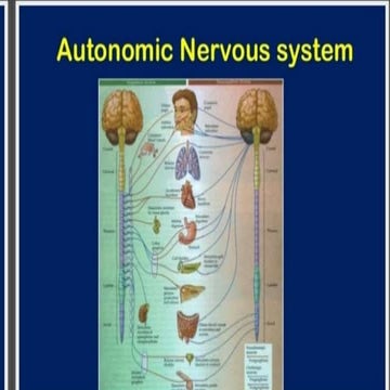 autonomic function test.pptx