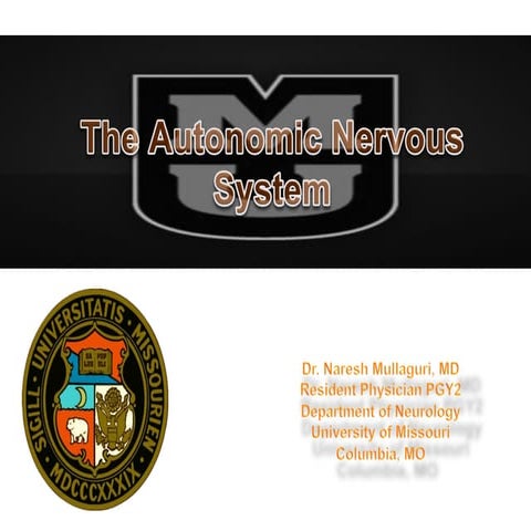 Autonomic nervous system